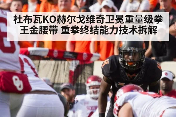 杜布瓦KO赫尔戈维奇卫冕重量级拳王金腰带 重拳终结能力技术拆解